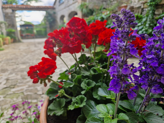 🌿 Ready for a Spring Adventure?, Apartments Roža, Roč - Istria, Croatia CROATIA