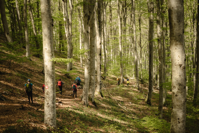 Učka Nature Park & Vela Draga &ndash; Hiking, Climbing and Nature Adventures in Istria, Apartments Roža, Roč - Istria, Croatia CROATIA