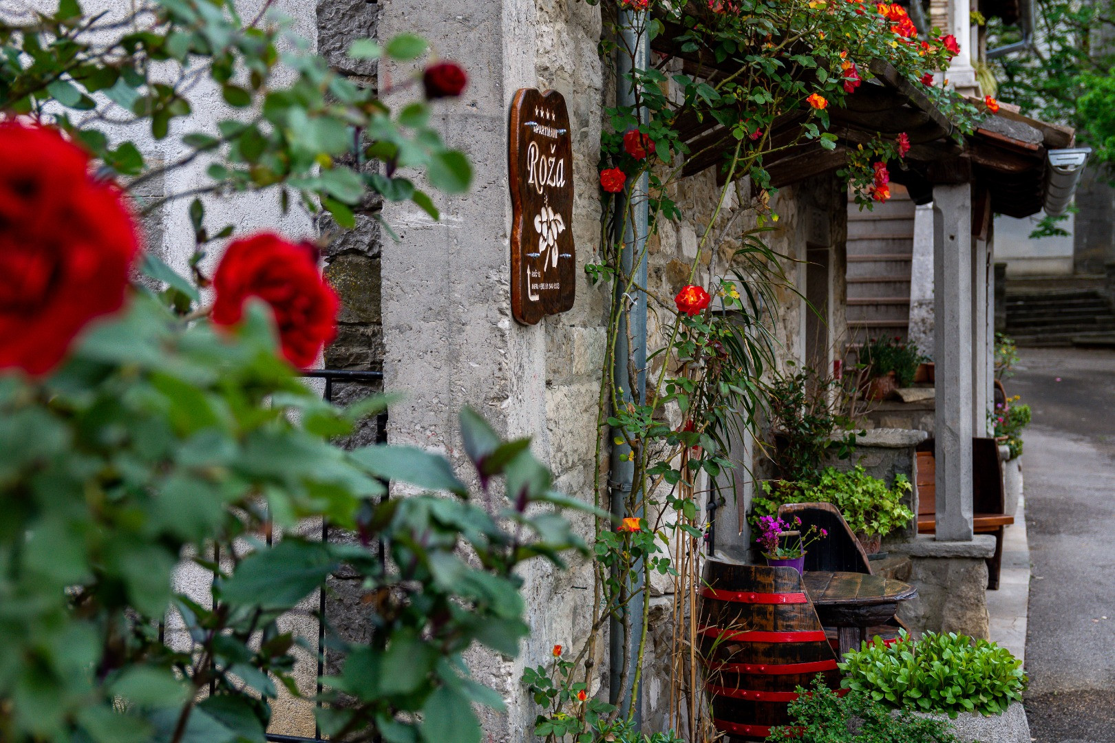 Apartments Roža in Roč - YOUR IDEAL ACCOMMODATION IN MAGICAL ISTRIA!, Apartments Roža, Roč - Istria, Croatia CROATIA